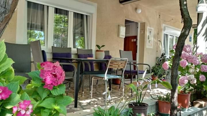 Apartman Paulina Apartment Selce Ngoại thất bức ảnh